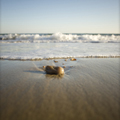 Pebble