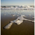 Sea Foam